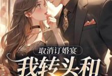 免费在线阅读取消订婚宴，我转头和别人领证小说的正规网站有哪些？-殇情文学