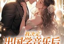 《我决定出国学音乐后,大律师后悔了》小说宋棉贺淮川章节章节免费在线阅读-殇情文学