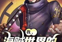 小说《我,海贼世界的不死大将》在线章节阅读-殇情文学
