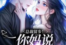 总裁留步！你妈说让你娶我（苏苒染）完整版在线免费阅读-殇情文学