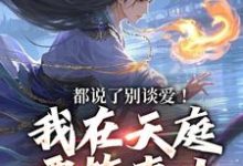 林羽小说免费阅读完整版-殇情文学