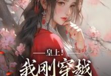 皇上!我刚穿越,真不想玩宫斗小说无弹窗阅读的网站推荐-殇情文学