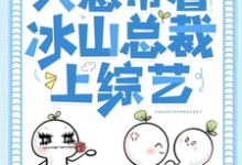 重生之后只想带着冰山总裁上综艺沈青顾慎小说在线章节免费阅读-殇情文学