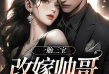 小说《一胎三宝，改嫁帅哥就是宠！》章节免费阅读-殇情文学