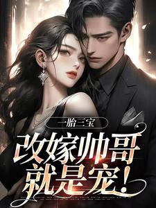 小说《一胎三宝，改嫁帅哥就是宠！》章节免费阅读