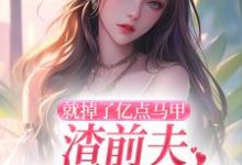 叶幻竹完整版小说《就掉了亿点马甲，渣前夫哭着求复婚》免费阅读-殇情文学