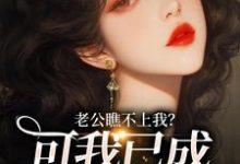 老公瞧不上我？可我已成科技大佬！小说，老公瞧不上我？可我已成科技大佬！在线阅读-殇情文学