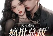 夫人走后,疯批总裁寻遍全世界苏妍顾焕之小说在线章节目录阅读最新章节-殇情文学