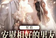 完整版小说《忙着安慰相好的男友，不知我要结婚》免费阅读-殇情文学