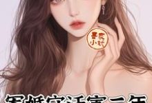 完结版《军婚守活寡三年,小军嫂带崽离婚》章节阅读-殇情文学