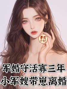 完结版《军婚守活寡三年，小军嫂带崽离婚》章节阅读