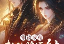 铜镜成精，我的将军女友贯穿古今这本小说完结了吗？免费查看最新章节-殇情文学