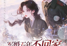 《军婚五年不回家，带崽离婚又不肯》小说大结局免费试读 苏清皖小说-殇情文学