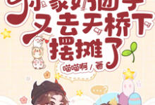 小糖糖小说《战爷你家奶团子又去天桥下摆摊了》完整版免费阅读-殇情文学
