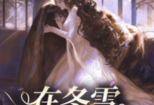 已完结小说《在冬雪之季》章节免费阅读-殇情文学