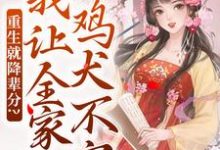 小说《重生就降辈分？我让全家鸡犬不宁》完整版章节免费阅读-殇情文学