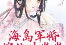 在线寻找海岛军婚：嫁他生崽崽小说的无删减版本-殇情文学