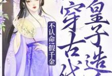《不认命！假千金她穿古代劝皇子造反》小说大结局免费试读 陈音小说-殇情文学