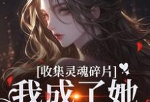 燕停小说收集灵魂碎片,我成了她的心尖宠章节免费阅读-殇情文学