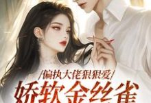 完结版《偏执大佬狠狠爱，娇软金丝雀往哪逃》章节目录在线阅读-殇情文学