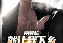 顾云涛小说《刚穿越就让我下乡，这该如何是好》完整版免费阅读-殇情文学
