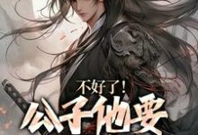 《不好了!公子他要挑战皇权》小说免费阅读完整版-殇情文学