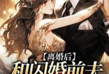 在线免费阅读离婚后,和闪婚前夫再相遇完整小说-殇情文学