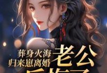 小说《葬身火海归来崽离婚,老公后悔了》在线章节阅读-殇情文学