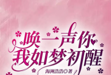 《唤一声你我如梦初醒》小说大结局免费试读 苏灵雨小说-殇情文学