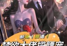 完结版《醉吻!甜诱!禁欲大佬揽腰宠》章节阅读-殇情文学