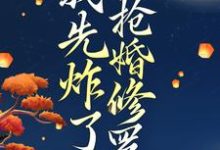 已完结小说《穿越后，我先炸了抢婚修罗场》在线章节阅读-殇情文学