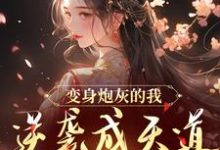 免费在线阅读变身炮灰的我,逆袭成天道亲闺女小说的正规网站有哪些?-殇情文学