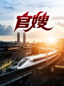 张元庆柳婷小说完结版在线阅读，官嫂免费看