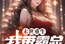 末世重生，我带霸总回农村小说的无弹窗阅读体验，寻找免费阅读网站-殇情文学