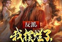 反派,我摆烂了,你们怎么急了小说完结版章节免费阅读-殇情文学