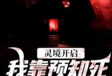 灵境开启,我靠预知死亡技能无敌陈冥小说免费阅读-殇情文学