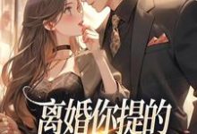 离婚你提的，怎么又求我复婚完整版小说免费阅读，离婚你提的，怎么又求我复婚小说-殇情文学