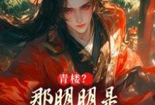 青楼?那明明是本皇子的根据地完整版小说免费阅读,青楼?那明明是本皇子的根据地小说-殇情文学