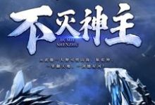 不灭神主小说的无弹窗阅读体验，寻找免费阅读网站-殇情文学