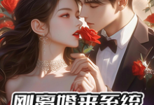 小说完整版《刚离婚来系统，反手撩前妻闺蜜》免费阅读-殇情文学