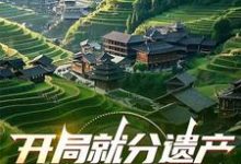 开局就分遗产,我痛宰白眼狼们小说无弹窗阅读的网站推荐-殇情文学