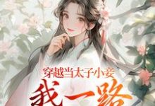 穿越当太子小妾，我一路扶摇直上小说最新章节在哪里可以读到？-殇情文学