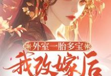 小说《外室一胎多宝，我改嫁后你哭啥》完整版章节免费阅读-殇情文学