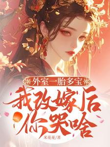 小说《外室一胎多宝，我改嫁后你哭啥》完整版章节免费阅读