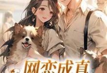 小说《网恋成真,这小子乐癫了》完整版在线章节免费阅读-殇情文学