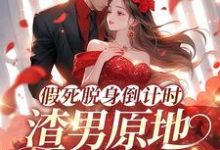 假死脱身倒计时,渣男原地哭成狗(陆焉知宁元白)完整版在线免费阅读-殇情文学