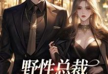 野性总裁穿上娇夫马甲这本小说在哪里可以看？哪里有免费试读章节？-殇情文学