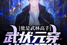 完结版《他是武林高手：武状元穿越来现代》在线免费阅读-殇情文学