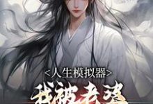 在线寻找人生模拟器:我被老婆逼成世间极境小说的无删减版本-殇情文学