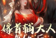 嫁首辅大人复仇后，她被反攻略了小说完结了吗？在哪里可以免费读到？-殇情文学